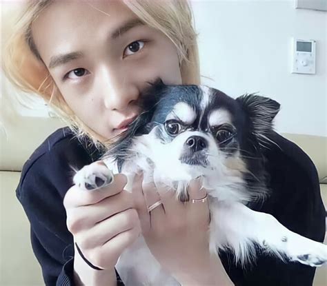 Hyunjin dog dating scandal